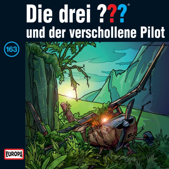 und der verschollene Pilot Cover